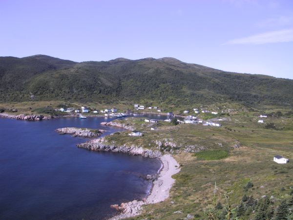 602: Red Island harbour. (2003) [courtesy of Bernard Mulrooney]